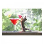 squirrel_drinking_tropical_drink_photoenlargement-r3084b760bf9045e78ed065ef855f009e_agork_400